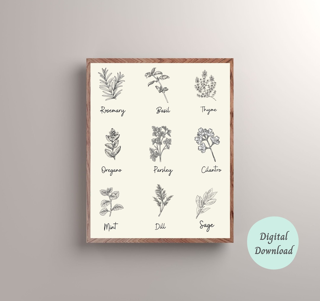Herb Identification Print Instant Art Printable Wall Decor Kitchen Wall