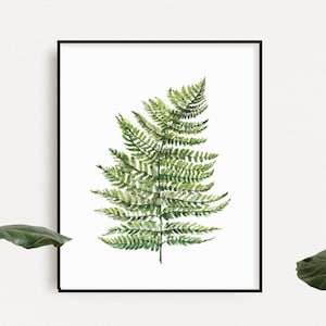 Poster 11 X 14 , 8 X 10,watercolor, fern illustration, butterfly, wall decoration, living room decoration, art, painted, botanical illustration