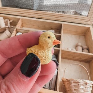 Pu&ograve; includere: Una piccola statuina di anatra gialla con becco arancione. L'anatra &egrave; tenuta in mano, con una scatola di legno e accessori in miniatura sullo sfondo, tra cui un piccolo cestino e pioli di legno. L'anatra &egrave; un giocattolo in miniatura.