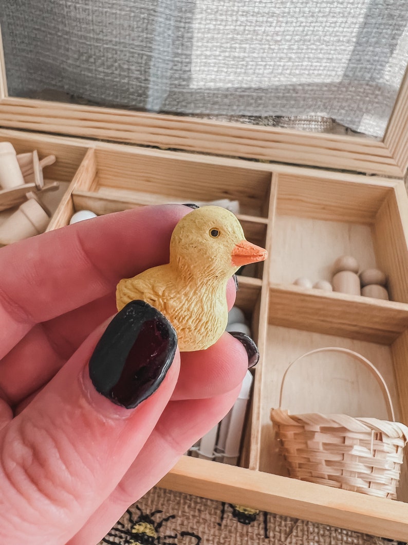 Pu&ograve; includere: Una piccola statuina di anatra gialla con becco arancione. L'anatra &egrave; tenuta in mano, con una scatola di legno e accessori in miniatura sullo sfondo, tra cui un piccolo cestino e pioli di legno. L'anatra &egrave; un giocattolo in miniatura.