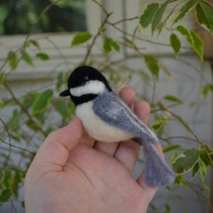 Needle Felted Ontario Birds
