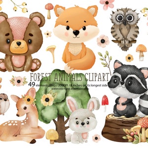 Clipart pour animaux des bois. Clipart de bébés animaux mignons de la forêt. Pépinière d’aquarelles d’animaux forestiers. Baby shower. Bear Deer Bunny Fox Raton laveur Owl