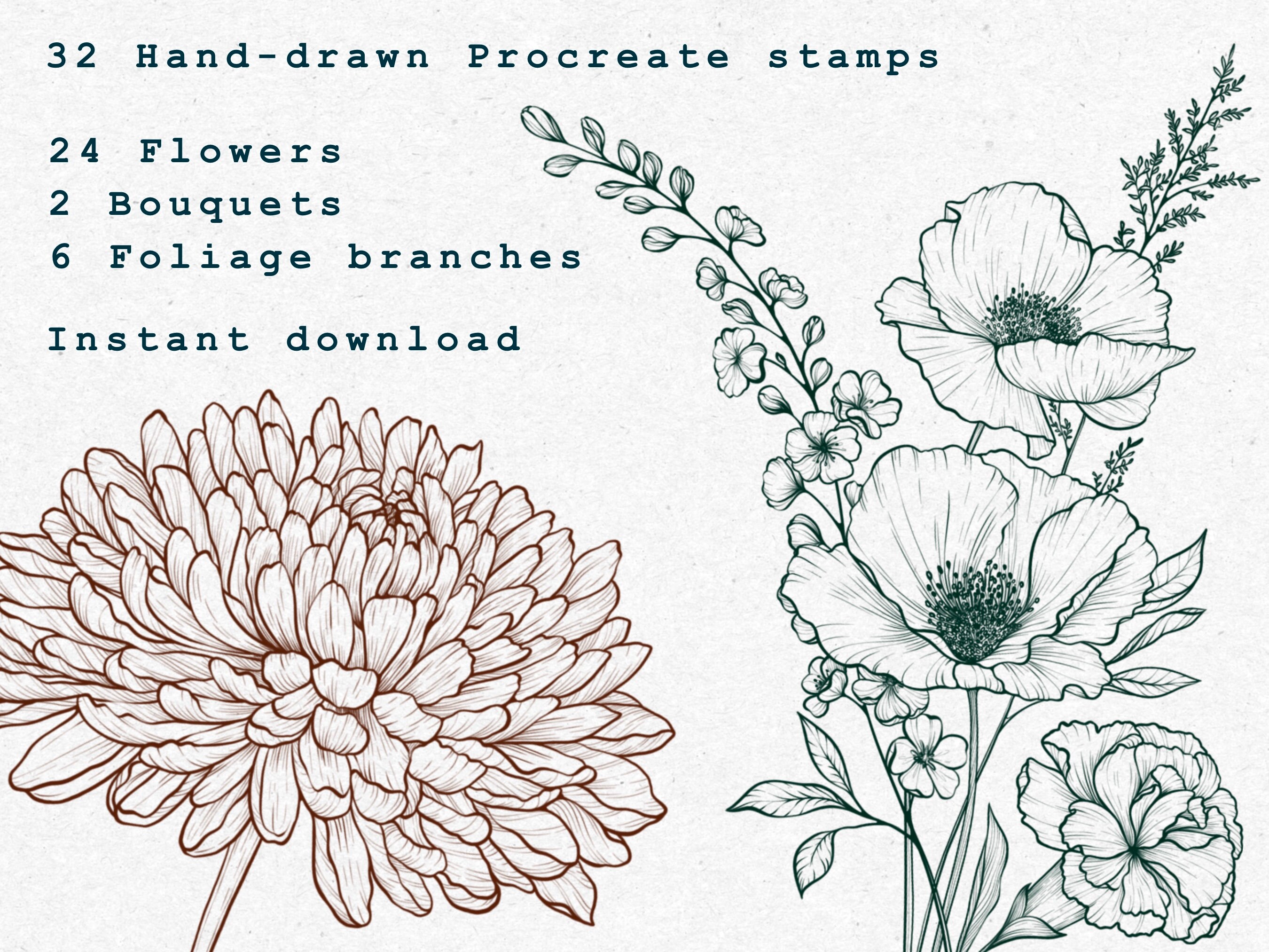 Birth Flowers Procreate Stamps, Floral Procreate Brushes, Botanical ...