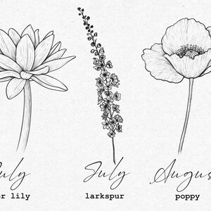 May include: Black and white line drawings of three flowers: a water lily, larkspur, and a poppy. The flowers are labeled with their names and the months of July and August.