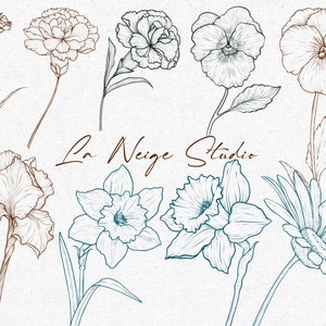 May include: A collection of hand-drawn floral illustrations in brown and blue ink. The flowers include carnations, pansies, daffodils, irises, and daisies. The text "La Neige Studio" is written in cursive at the bottom of the image.