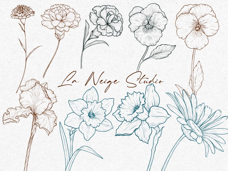 May include: A collection of hand-drawn floral illustrations in brown and blue ink. The flowers include carnations, pansies, daffodils, irises, and daisies. The text "La Neige Studio" is written in cursive at the bottom of the image.