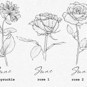 May include: Line drawing illustration of three flowers: honeysuckle, rose 1, and rose 2. The flowers are labeled with the month "June" and the name of the flower.