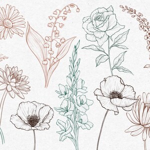 May include: A collection of hand-drawn line art illustrations of various flowers, including lilies of the valley, roses, daisies, and poppies. The flowers are drawn in black ink on a white background.