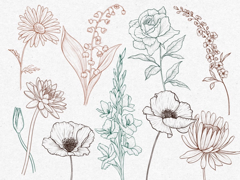 May include: A collection of hand-drawn line art illustrations of various flowers, including lilies of the valley, roses, daisies, and poppies. The flowers are drawn in black ink on a white background.
