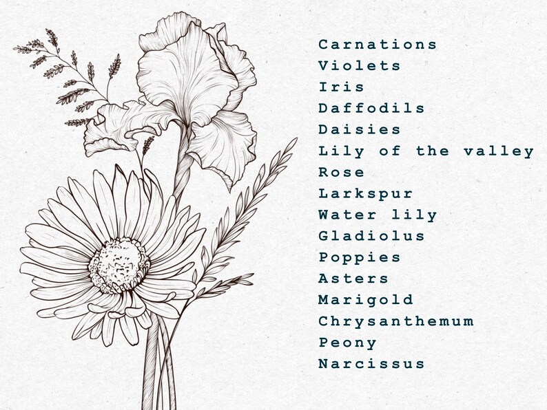 May include: Line drawing of a bouquet of flowers, including a daisy, an iris, and other floral elements. The flowers are drawn in black ink on a white background. The text "Carnations, Violets, Iris, Daffodils, Daisies, Lily of the valley, Rose, Larkspur, Water lily, Gladiolus, Poppies, Asters, Marigold, Chrysanthemum, Peony, Narcissus" is listed on the right side of the image.