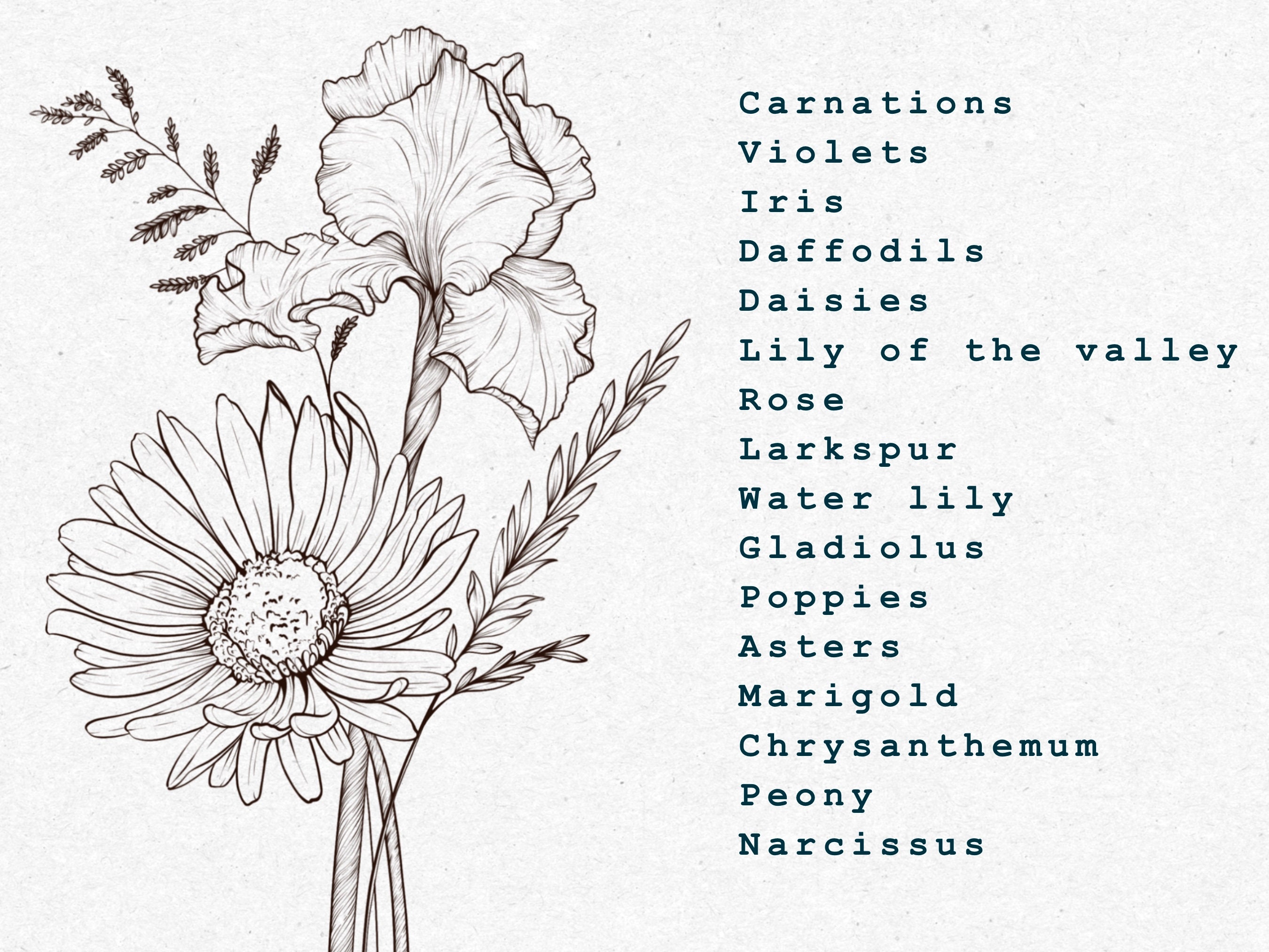 Birth Flowers Procreate Stamps, Floral Procreate Brushes, Botanical ...