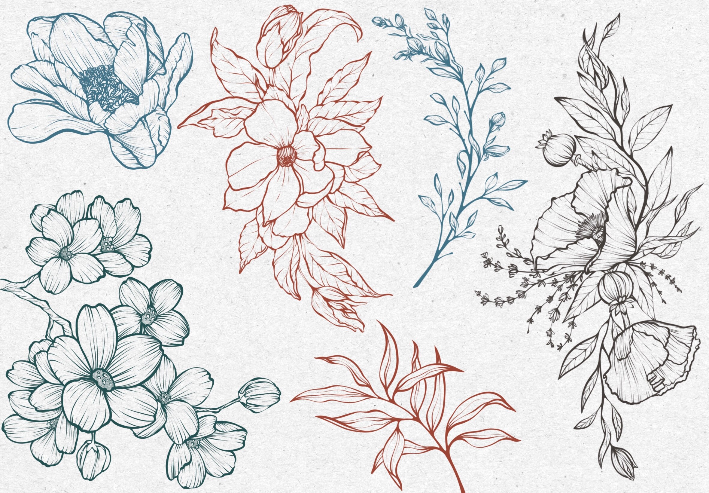 Flowers and Leaves Stamps for Procreate, Floral Stamp Brushes ...