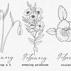May include: Line art illustration of three flowers representing the months of January, February, and February. The first flower is a snowdrop, the second is an evening primrose, and the third is a violet.