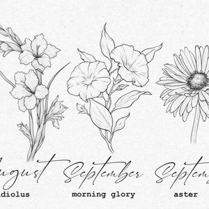 May include: A black and white line drawing of three flowers. The first flower is a gladiolus, labeled "August". The second flower is a morning glory, labeled "September". The third flower is an aster, labeled "September".