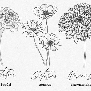May include: Line drawing illustrations of three flowers: a marigold for October, cosmos for October, and a chrysanthemum for November.