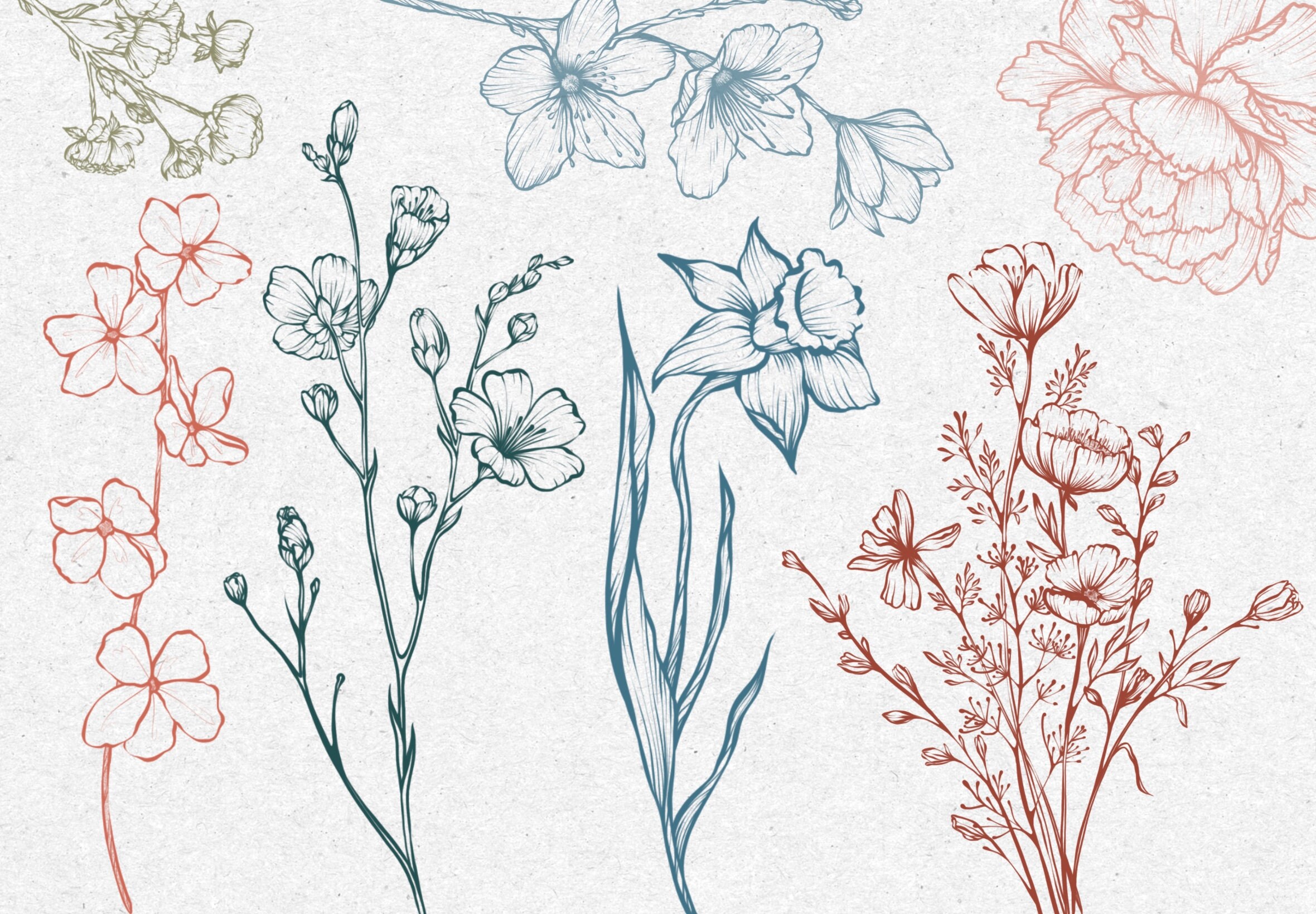 Flowers and Leaves Stamps for Procreate, Floral Stamp Brushes ...