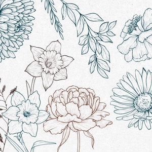 May include: A line drawing of various flowers in shades of blue and brown. The flowers include a daisy, a daffodil, a peony, and a chrysanthemum.