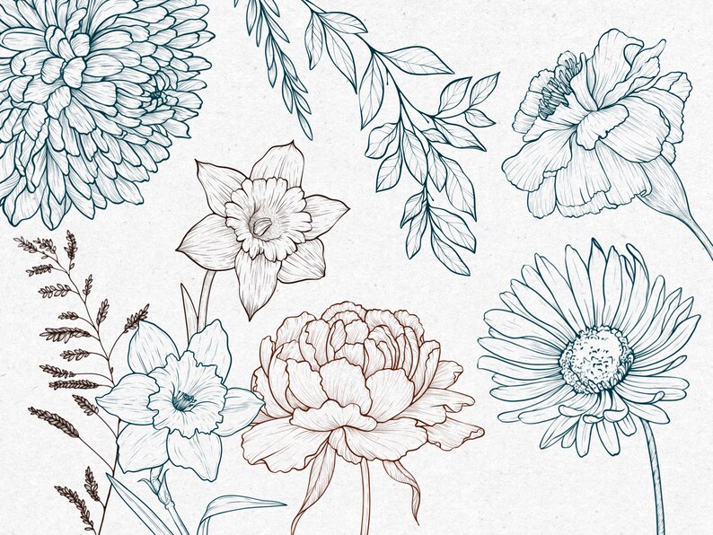 May include: A line drawing of various flowers in shades of blue and brown. The flowers include a daisy, a daffodil, a peony, and a chrysanthemum.
