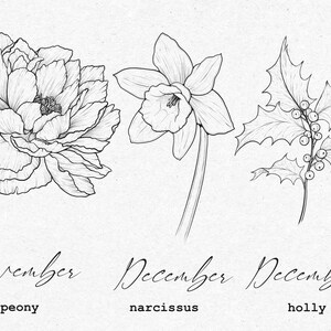 May include: Line drawing illustration of three flowers: a peony, a narcissus, and holly. The peony is labeled "November peony", the narcissus is labeled "December narcissus", and the holly is labeled "December holly".