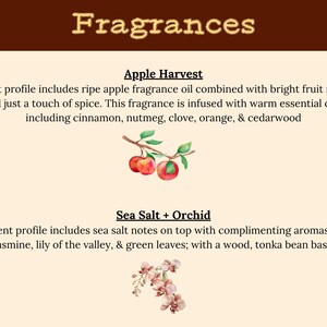May include: Image featuring the word "Fragrances" in a decorative font. Below, descriptions of "Apple Harvest" and "Sea Salt + Orchid" scents are provided. Watercolor illustrations of apples and orchids accompany the text, detailing fragrance notes.