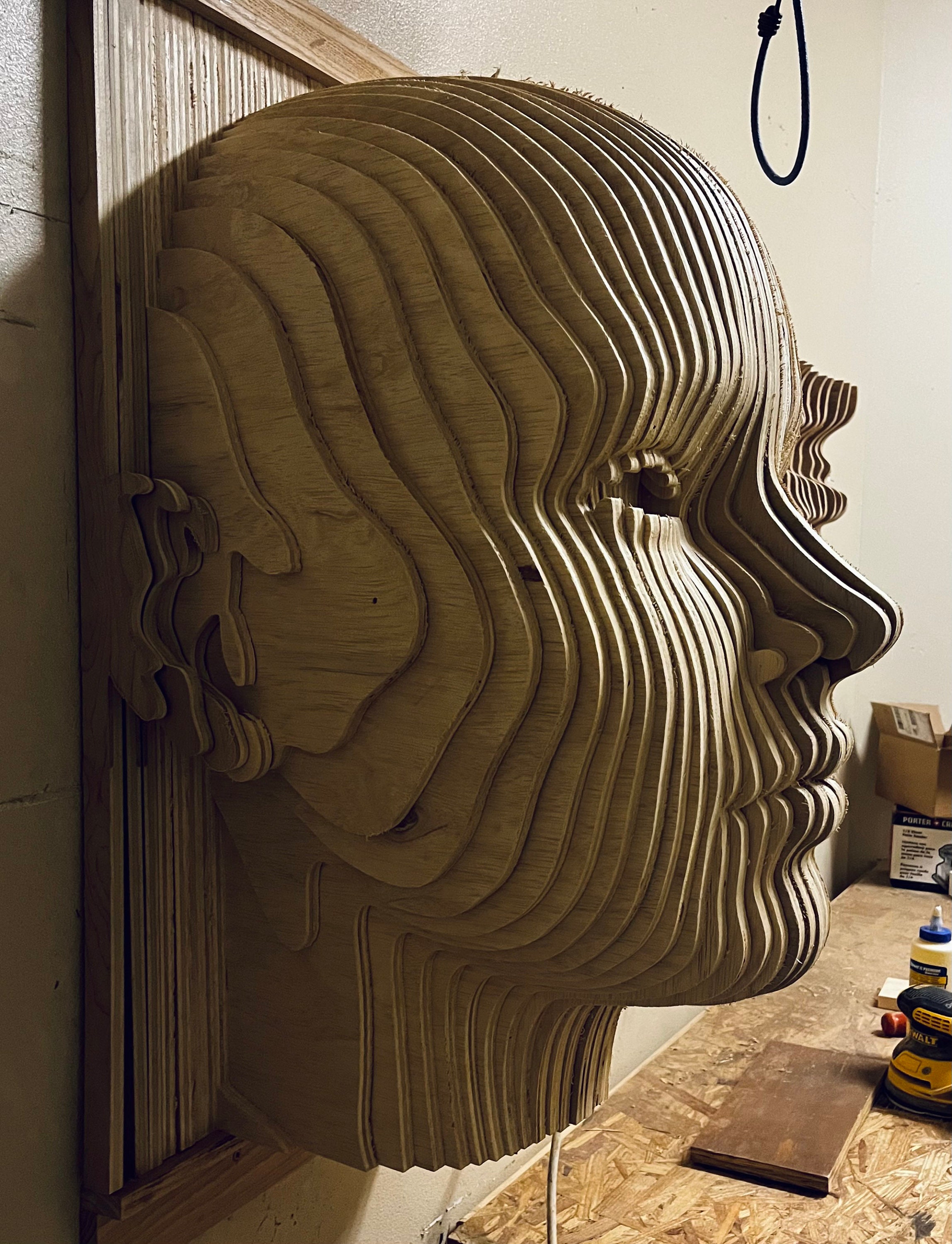 3D Sketch Human Head WG164 Wall Murals