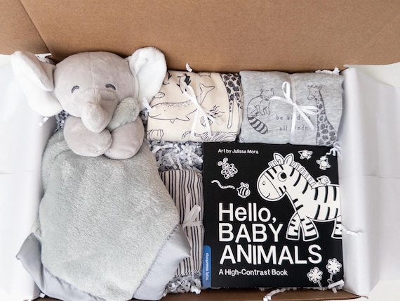 Gender Neutral Baby Gift Box, Bodysuits, Security Blanket, Board Book