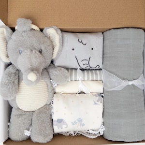 Gender neutral baby shower gift, baby gift box, newborn baby gift, Neutral new baby basket, Swaddle Blanket, Long/Short sleeve bodysuits
