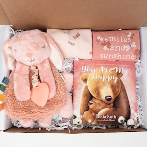 Baby Girl Shower Gift Box: Bodysuits, Board Book, Security Blanket, Gift for baby girl