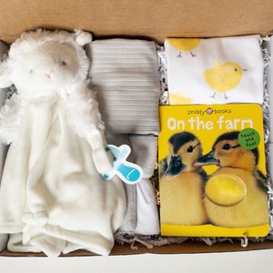 Gender neutral baby shower gift, gender neutral Animal gift box, New baby gift basket, Neutral baby box, Stuffed toy, Book, Bodysuits