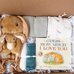 Neutral Baby Gift Basket, Bodysuits, Bunny Toy, Book