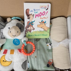 Gender neutral baby shower gift, baby gift box, newborn baby gift, Farm gift for new baby, neutral Sleeper, Swaddle blanket, Toy