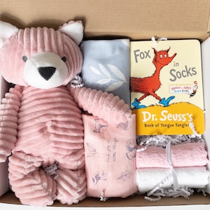 May include: A pink plush fox toy, a blue and white patterned baby blanket, a pink and white patterned baby burp cloth, a book titled "Fox in Socks" by Dr. Seuss, and three pink and white washcloths in a gift box.