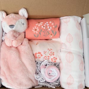 Baby Girl Gift Box: Bodysuit, Bib, Swaddle & Fawn Blanket