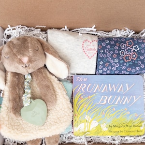 Baby Girl Shower Gift Box, Gift for Baby girl, Two Bodysuits, Bunny Lovey, and Board Book