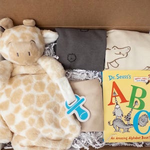 May include: A gift box containing a plush giraffe security blanket with a blue pacifier attachment, a dark gray shirt, a cream shirt with a brown alligator graphic, and a Dr. Seuss ABC board book with yellow cover and colorful letters.