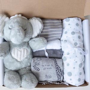 Gender neutral baby shower gift, baby gift box, newborn baby gift, new baby basket, unisex baby basket, new baby box, neutral bodysuits