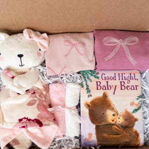 Baby Girl Gift Box: Bodysuits, Board Book & Bear Blanket