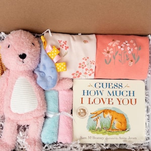 Baby girl gift box, baby shower gift girl, new baby girl gift, newborn girl gift box, baby sprinkle gift, Pink bunny gift