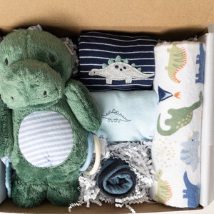 Baby boy gift box, baby boy shower gift, baby boy gift box, baby boy gift basket, Bodysuits, Flannel blanket, Dinosaur baby gift