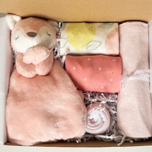 Baby girl gift box, baby girl shower gift, Newborn baby gift box, New baby gift basket, Bodysuits, bib, flannel blanket, Security blanket