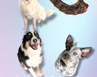 Duck Neck Chew: Homemade Natural Dog Training Treat, Kibble Topper, Enrichment