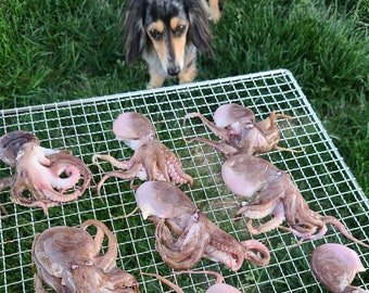 Tiny Octopus Dog Treats | Homemade Dog Gift | Natural Dog Treats | Exotic Kibble Topper | Gourmet Training Treat | Raw Dog Food | Enrichment