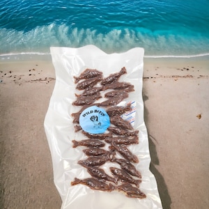 Salmon Superfood Dog Treats: Homemade, Grain-Free, Wild-Caught