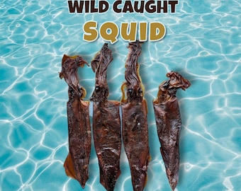Wild Caught Squid Dog Treats | Homemade Exotic Kibble Topper | Dehydrated Omega-3 Grain-Free Enrichment for Training & Special Occasions