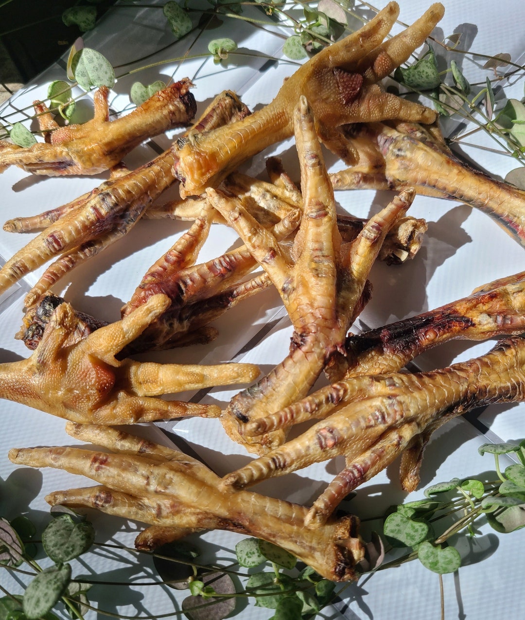 Dried Chicken Feet Homemade Dog Treats Dog Gift Kibble Etsy