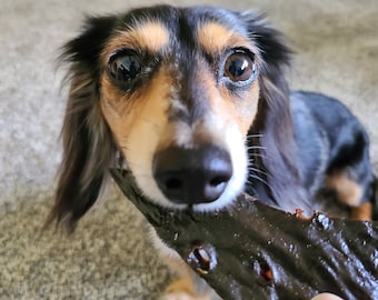Beef Liver Snaps: Natural Dehydrated Dog Training Treats
