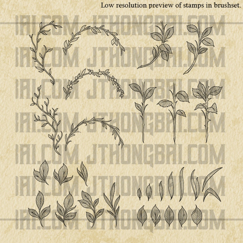 Thorns and Foliage Brush Set for Procreate image 3