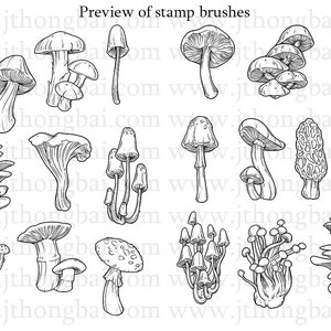 Mushroom Brush Set for Procreate Stamp Brushes - Etsy