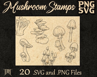 Mushroom Stamp Set 20 PNG Raster and SVG Vector Illustrations