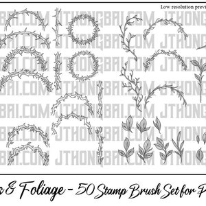 Thorns and Foliage Brush Set for Procreate image 5